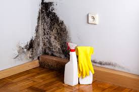 Dehumidification Services in Patton Village, TX